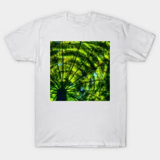 Patterns of fern & light T-Shirt